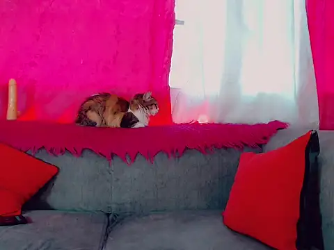 DeboraGill online show from March 10, 8:24 pm