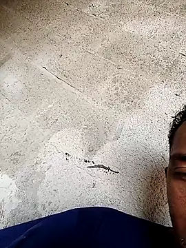 Snapshot of negopreto_ chatting on February 24, 7:37 pm negopreto online show from February 24, 7:37 pm