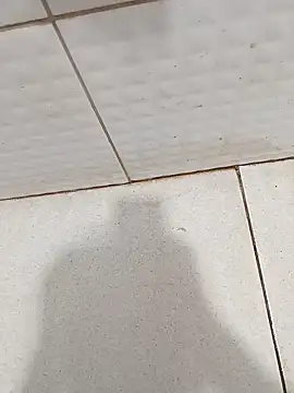 Snapshot of negopreto_ chatting on February 26, 8:53 pm negopreto online show from February 26, 8:53 pm