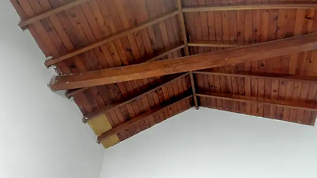 TonyPetrovjs online show from March 15, 7:37 am