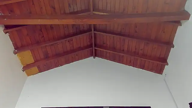 TonyPetrovjs online show from March 26, 4:44 am