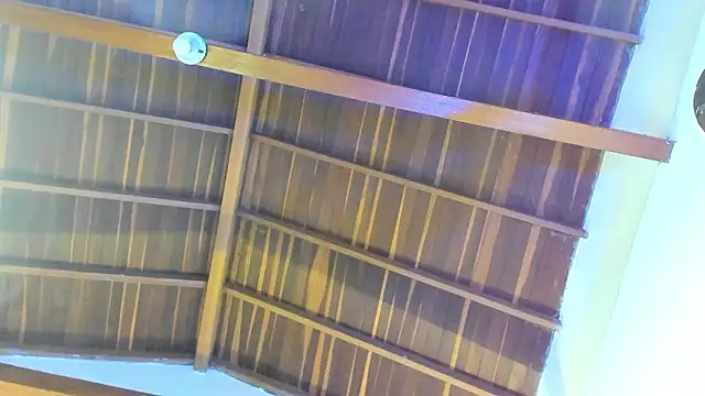 TonyPetrovjs online show from February 26, 5:51 am