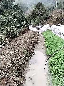 ngocbao11 online show from March 12, 1:11 am