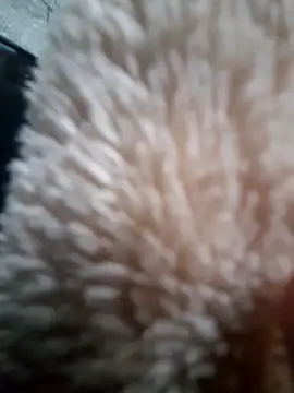 Snapshot of iambesting chatting on February 28, 11:21 am iambesting online show from February 28, 11:21 am