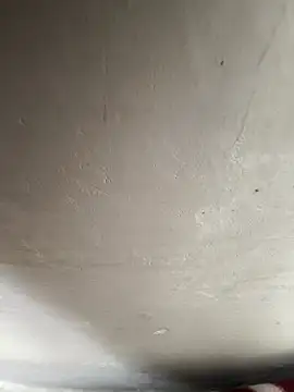 reena-sassy online show from February 20, 8:27 am