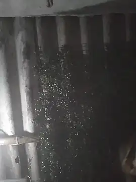 mar coral2 online show from March 28, 4:02 am