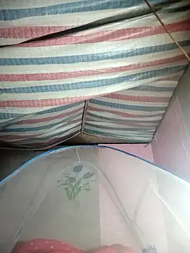 Snapshot of Susu-bae chatting on February 25, 2:34 am Susu-bae online show from February 25, 2:34 am