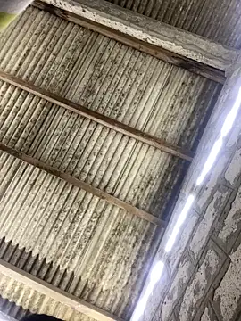 ale sweet53 online show from April 3, 1:56 am