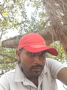 Fantasy King 3939 online show from April 4, 9:16 am