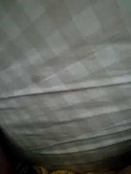 Edu235 online show from March 23, 2:33 am