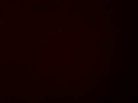 stud2512 online show from March 8, 10:51 am