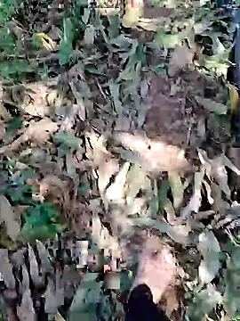 blackbeauty321 online show from March 3, 9:05 am