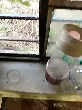 blackbeauty321 online show from February 26, 11:21 am