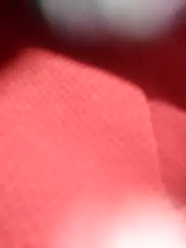 Snapshot of jackkk0011 chatting on February 26, 12:49 pm jackkk0011 online show from February 26, 12:49 pm