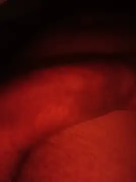 omagrinho dotado online show from June 14, 5:19 am