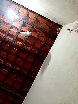 erotil 1 online show from March 28, 4:13 am