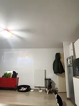 eruzam59000 online show from March 7, 7:04 am