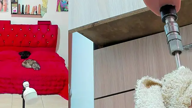 bella  funny online show from May 13, 6:04 pm