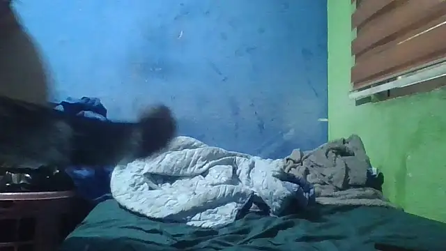 Soylilayblue online show from March 25, 6:46 am