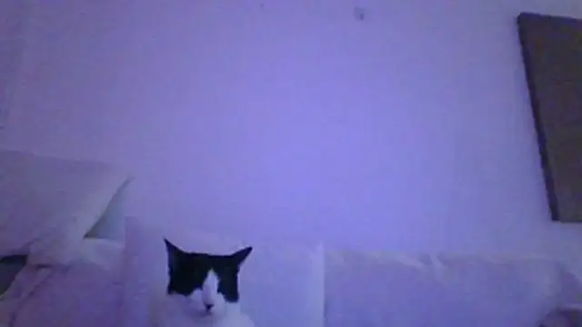 Snapshot of kinkykara25 chatting on April 29, 9:10 pm kinkykara25 online show from April 29, 9:10 pm