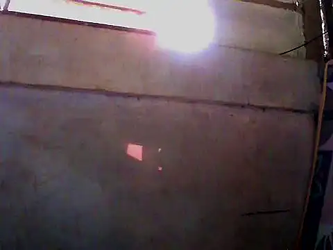 Flowerblossom123 online show from April 9, 6:30 am