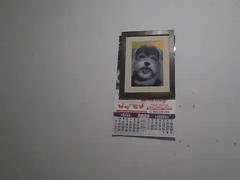 DIEGOLUIS2026 online show from March 6, 3:56 am