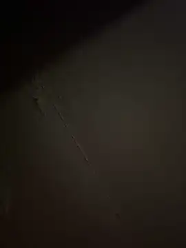 BunnyYT online show from May 17, 7:08 am