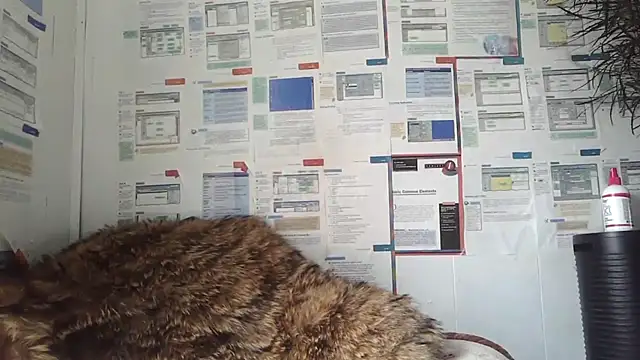 BunnyYT online show from March 8, 4:21 pm