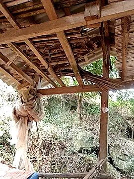 elen8800 online show from April 14, 4:06 am