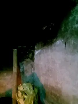 Snapshot of elen8800 chatting on February 28, 11:37 pm elen8800 online show from February 28, 11:37 pm