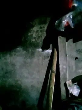 elen8800 online show from March 7, 10:54 am