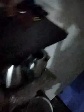 magicmovemen online show from March 3, 11:12 pm