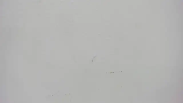 ursafrost online show from May 6, 3:43 am