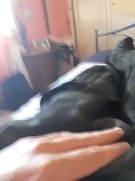 ilcazzone32 online show from April 19, 2:07 pm