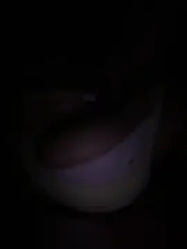 Kiara XOX online show from February 24, 2:45 am