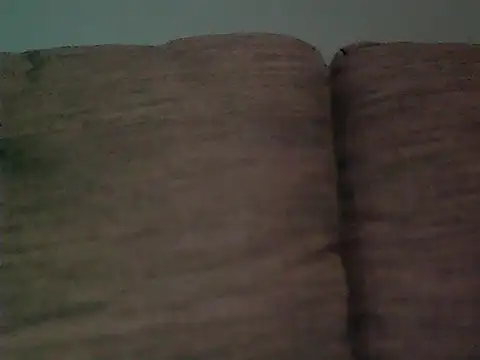 Snapshot of here51 chatting on March 12, 1:44 am here51 online show from March 12, 1:44 am