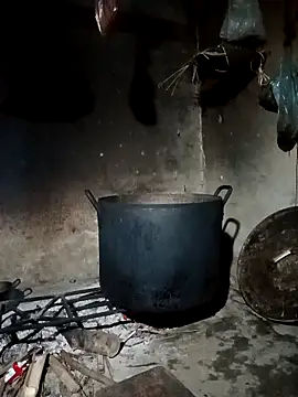 pic8800 online show from March 31, 7:10 am