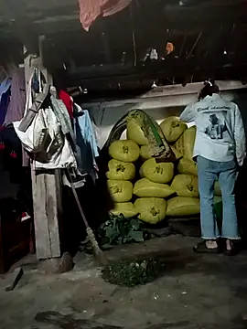 pic8800 online show from April 3, 1:56 am