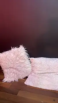   CELESTE   online show from March 10, 7:56 am