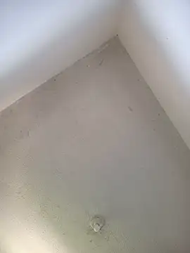 priscilaf online show from April 19, 11:55 am