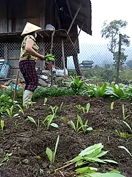 Heylen hooo online show from March 12, 10:41 am