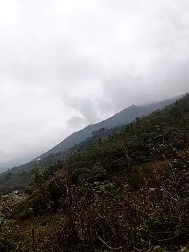 lyly sexx online show from March 7, 3:13 am