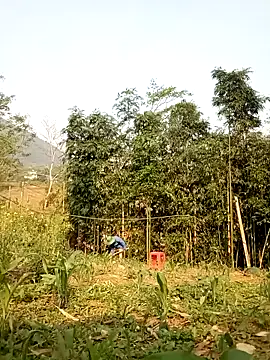 lyly sexx online show from April 7, 12:56 am