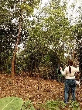 lyly sexx online show from March 28, 1:06 am