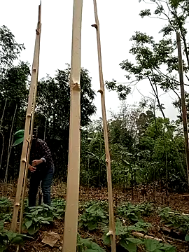 lyly sexx online show from April 1, 2:02 am