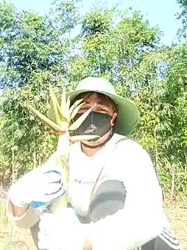 lyly sexx online show from April 8, 2:13 am