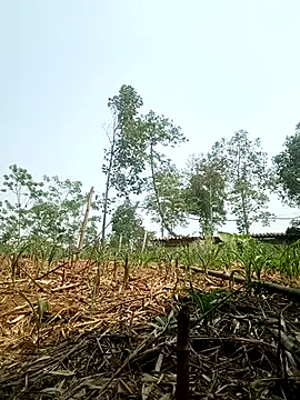 lyly sexx online show from April 14, 7:02 am