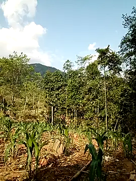 lyly sexx online show from April 11, 1:02 am