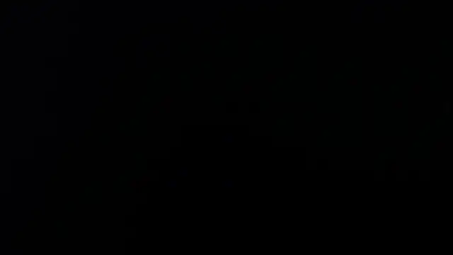 artemisa aly online show from April 8, 11:44 am