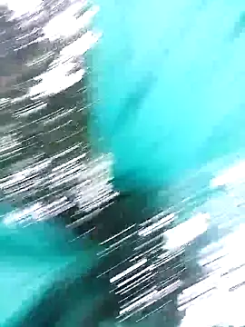 single kitten online show from April 2, 12:12 pm